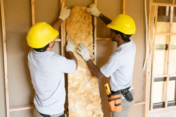 Best Eco-Friendly or Green Insulation Solutions  in Colma, CA